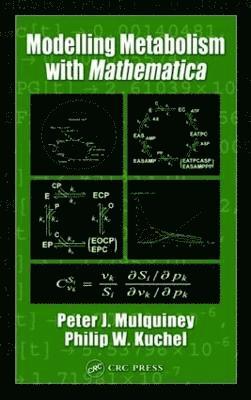 Peter Mulquiney, Philip W. Kuchel - Modelling Metabolism with Mathematica, Inbunden