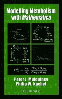 Modelling Metabolism with Mathematica 1