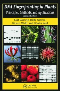 bokomslag DNA Fingerprinting in Plants