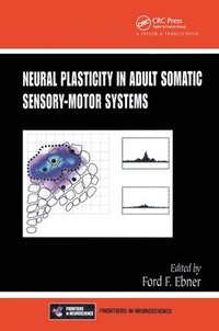bokomslag Neural Plasticity in Adult Somatic Sensory-Motor Systems