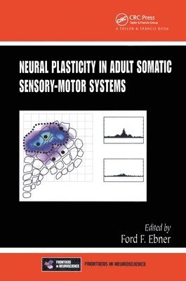 Neural Plasticity in Adult Somatic Sensory-Motor Systems 1