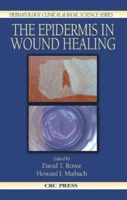 bokomslag The Epidermis in Wound Healing