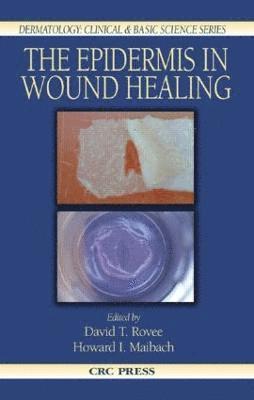 David T. Rovee, Howard I. Maibach - Epidermis in Wound Healing, Inbunden