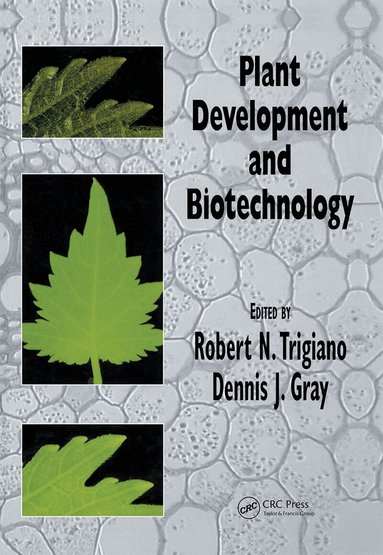 Robert N. Trigiano, Dennis J. Gray - Plant Development and Biotechnology, Inbunden