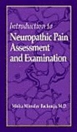 bokomslag Introduction to Neuropathic Pain Assessment