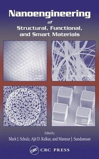 bokomslag Nanoengineering of Structural, Functional and Smart Materials