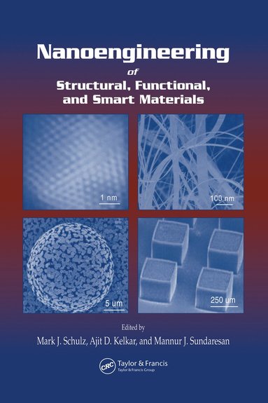 bokomslag Nanoengineering of Structural, Functional and Smart Materials