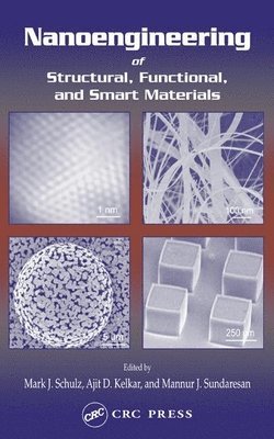 Nanoengineering of Structural, Functional and Smart Materials 1