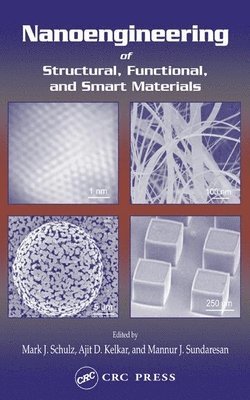 Mark J. Schulz, Ajit D. Kelkar, Mannur J. Sundaresan, USA) Schulz, Mark J. (University of Cincinnati, Ohio, USA) Kelkar, Ajit D. (North Carolina A&T State University, Greensboro, USA) Sundaresan, Mannur J. (North Carolina A&T State University, Greensboro - Nanoengineering of Structural, Functional and Smart Materials, Inbunden
