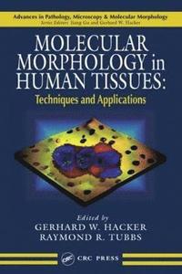 bokomslag Molecular Morphology in Human Tissues