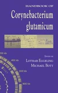 bokomslag Handbook of Corynebacterium glutamicum