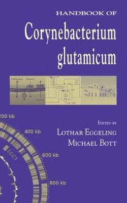 Handbook of Corynebacterium glutamicum 1