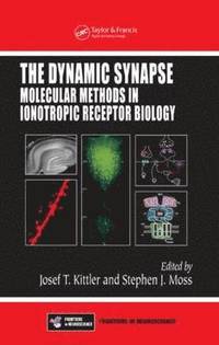 bokomslag The Dynamic Synapse