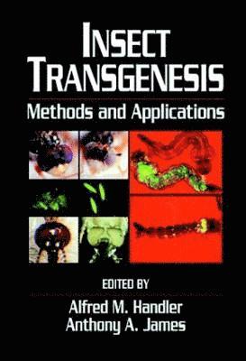 Insect Transgenesis 1