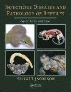bokomslag Infectious Diseases and Pathology of Reptiles