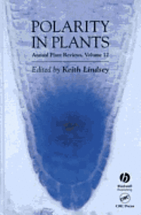 bokomslag Polarity In Plants