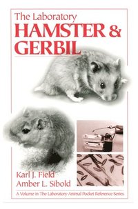 bokomslag The Laboratory Hamster and Gerbil
