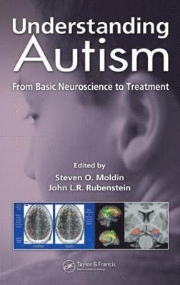 Understanding Autism 1