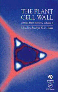 bokomslag Plant Cell Wall