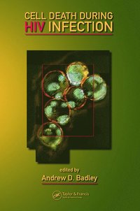 bokomslag Cell Death During HIV Infection