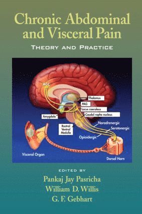 Pankaj Jay Pasricha, William D. Willis, G. F. Gebhart - Chronic Abdominal and Visceral Pain, Inbunden