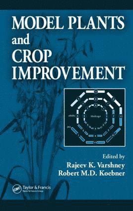 Rajeev K. Varshney, Robert M.D. Koebner, Robert M. D. Koebner - Model Plants and Crop Improvement, Inbunden