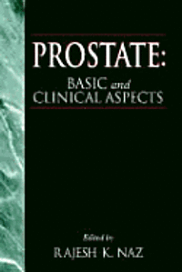 bokomslag Prostate