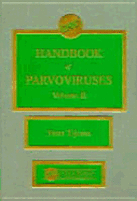 bokomslag Handbook of Panoviruses