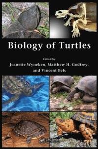 bokomslag Biology of Turtles