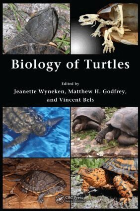Jeanette Wyneken, Matthew H. Godfrey, Vincent Bels - Biology of Turtles, Inbunden