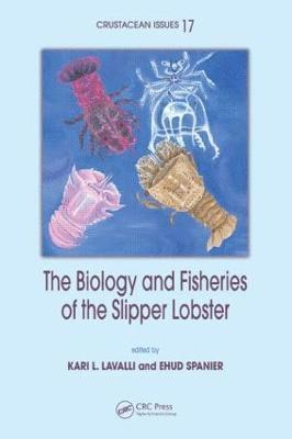 bokomslag The Biology and Fisheries of the Slipper Lobster