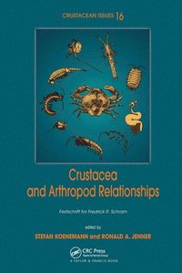 bokomslag Crustacea and Arthropod Relationships
