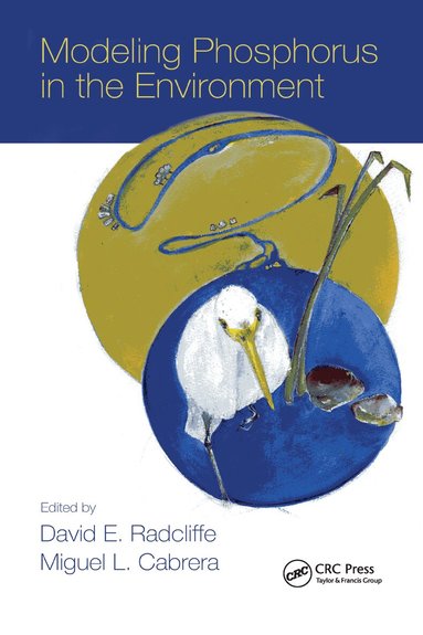 David E. Radcliffe, Miguel L. Cabrera - Modeling Phosphorus in the Environment, Inbunden