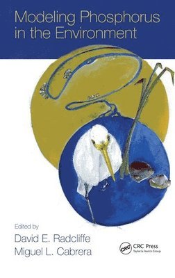 David E. Radcliffe, Miguel L. Cabrera - Modeling Phosphorus in the Environment, Inbunden