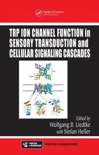 bokomslag TRP Ion Channel Function in Sensory Transduction and Cellular Signaling Cascades