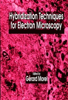 Hybridization Techniques for Electron Microscopy 1