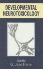 bokomslag Developmental Neurotoxicology