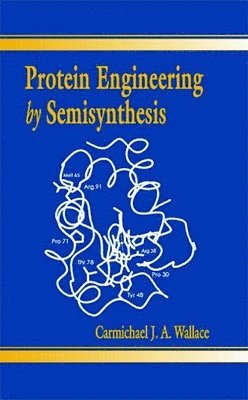 bokomslag Protein Engineering by Semisynthesis