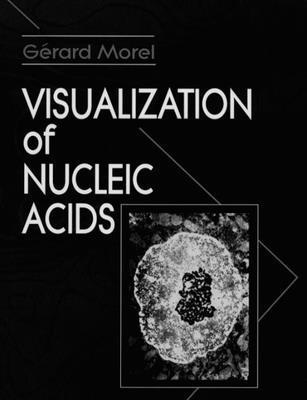 bokomslag Visualization of Nucleic Acids