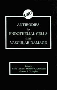 bokomslag Antibodies to Endothelial Cells and Vascular Damage