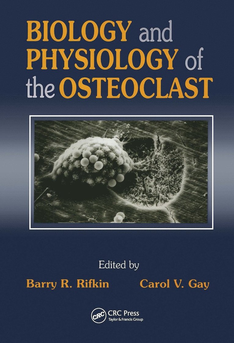 Barry R. Rifkin, Carol V. Gay, USA) Gay, Carol V. (Penn State University, University Park, Pennsylvania - Biology and Physiology of the Osteoclast, Inbunden