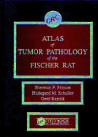 bokomslag Atlas of Tumour Pathology of the Fischer Rat