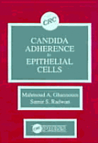 bokomslag Candida Adherence to Epithelial Cells