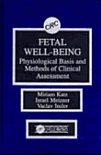 bokomslag Fetal Well Being