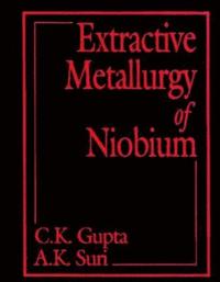 bokomslag Extractive Metallurgy of Niobium