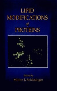bokomslag Lipid Modifications of Proteins