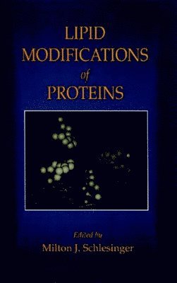 bokomslag Lipid Modifications of Proteins