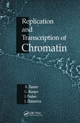 Replication and Transcription of Chromatin 1