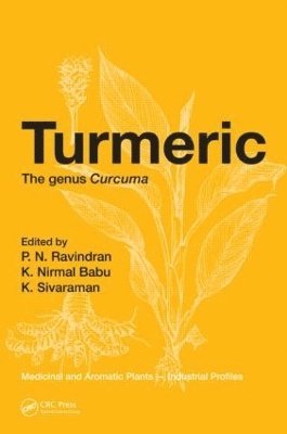 Turmeric 1