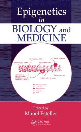 bokomslag Epigenetics in Biology and Medicine